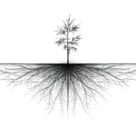 Bambú como símbolo de constancia y mini hábitos compuestos