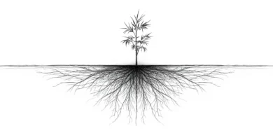 Bambú como símbolo de constancia y mini hábitos compuestos